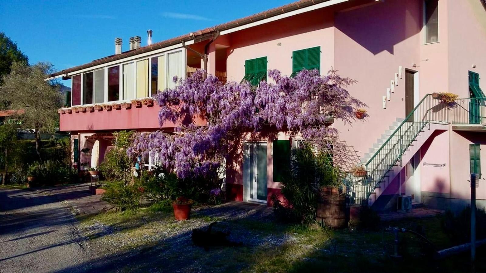 La Casa Rosa Hotel Borghetto di Vara Eksteriør billede